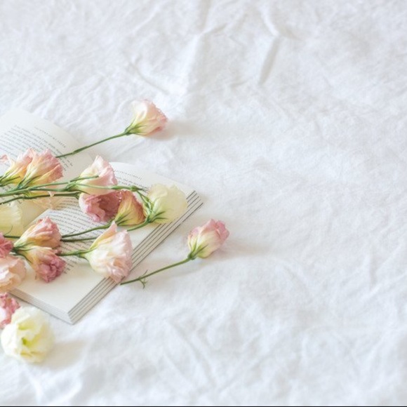 🌼✨ w e l c o m e ✨🌼 - Picture 8 of 15